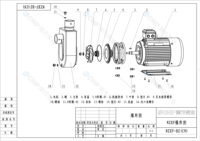 Pompa Self-Priming Baja Tahan Karat CNP 25NZXF3-20 DWS 0.75kW 3m/h 20m Head Motor 1 Tahun Penggunaan Industri Pengolahan Air Konstruksi