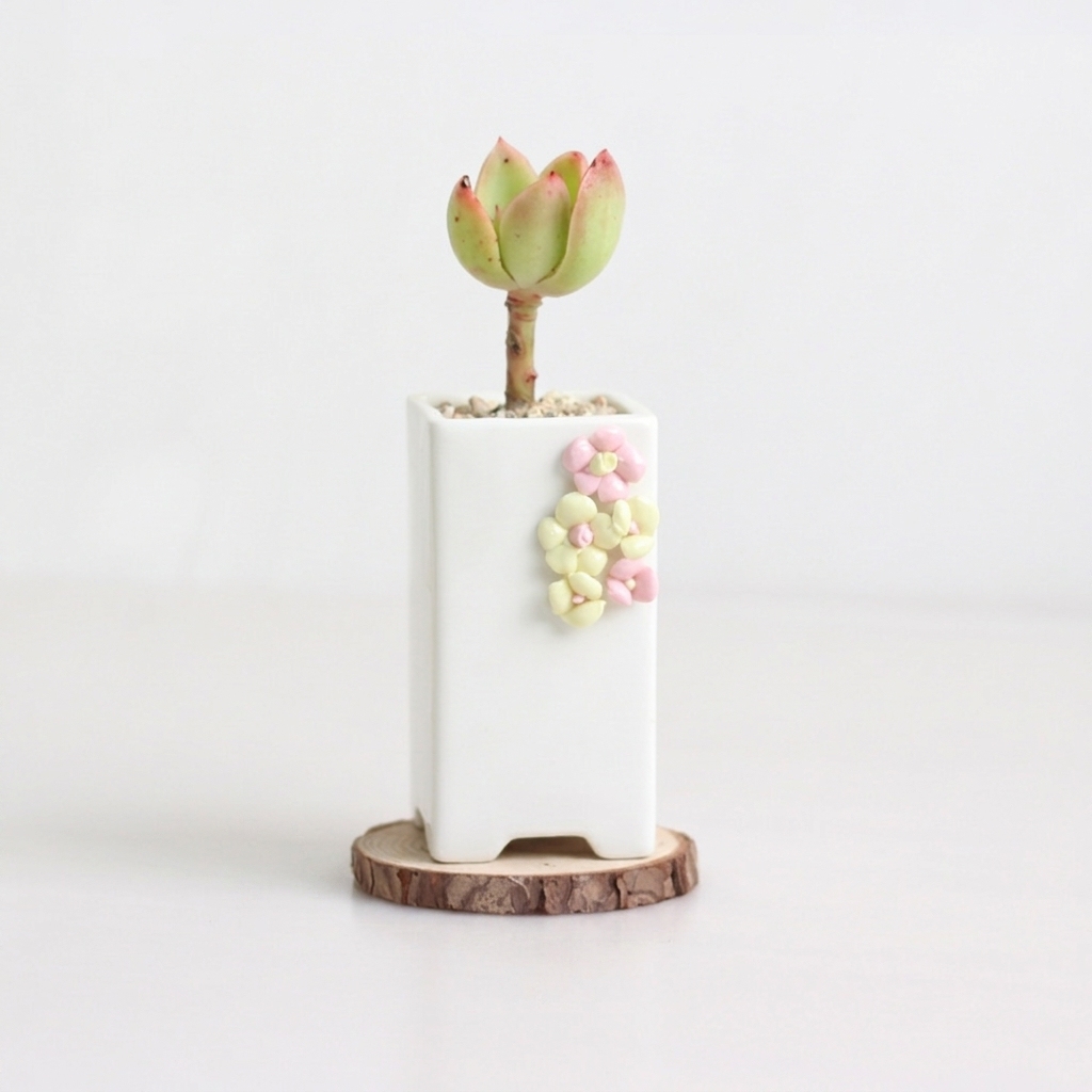 Handmade Pinch Ceramic Succulent Pot – White Painted Small Planter - View 4