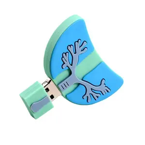 Disco Flash USB in PVC a forma di organo fisico disco Flash USB a forma di organo da 4GB 1GB 2GB chiavetta USB in plastica PVC 2.0 3.0