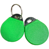 Llavero RFID Personalizado TK/EM 4100 125KHz, Anillo Inteligente para Control de Acceso, Etiqueta Inteligente