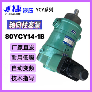 ปั๊มลูกสูบ Chuan Jie Ycy14-1B ซีรีส์ แรงดันสูง ปรับอัตราการไหลได้ สำหรับเครื่องดัด - Product Image 5