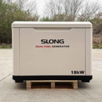 SLONG BRAND OEM Leiser Tragbarer 20KW 110/220/230V Erdgas-Notstromgenerator mit Autostart für Privathaushalte