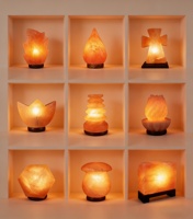 Lampe de Sel Rose de l'Himalaya Naturelle en Gros, Veilleuse en Cristal pour Décoration Intérieure et Cadeau