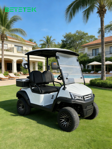 Voiturette de golf électrique 2 places, design compact et robuste, pour les lieux de loisirs, les vignobles et les trajets sur les terrains de golf hors route publique - Product Image 1