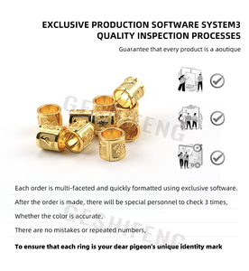 <span class=keywords><strong>Gsf</strong></span> 비둘기 반지 8.5mm 구리 새 용품 액세서리 앵무새 다리 밴드 골드 발 반지 - Product Image 4