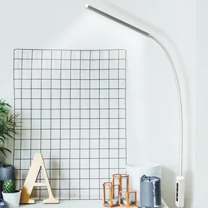 Modern Flexible Gooseneck Dimmable Standing Funky Floor Lamp Reading Lamp 2-in-1 Silicone 5 Color Temperature Floor LED Light