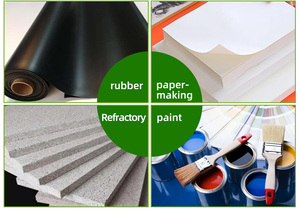 Poudre de <span class=keywords><strong>Kaolin</strong></span> Personnalisée pour Produits de Soin de la Peau : Additif Régulateur de Sébum et d'Équilibre Hydrolipidique - Product Image 5