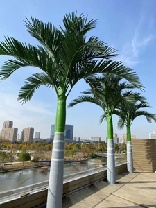 H096 на заказ, 3 м, 5 м, 6 м - Product Image 2