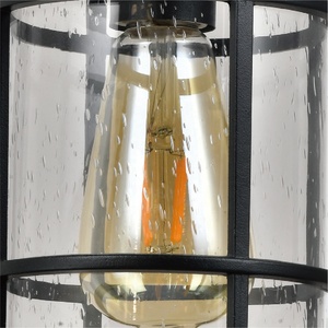 ET-002 Gros Fer En Plein Air Jardin Pendentif Lampe Plafonnier avec Finition Noire et Semences Cylindre En Verre Ombre IP44 E26/E27 - Product Image 2