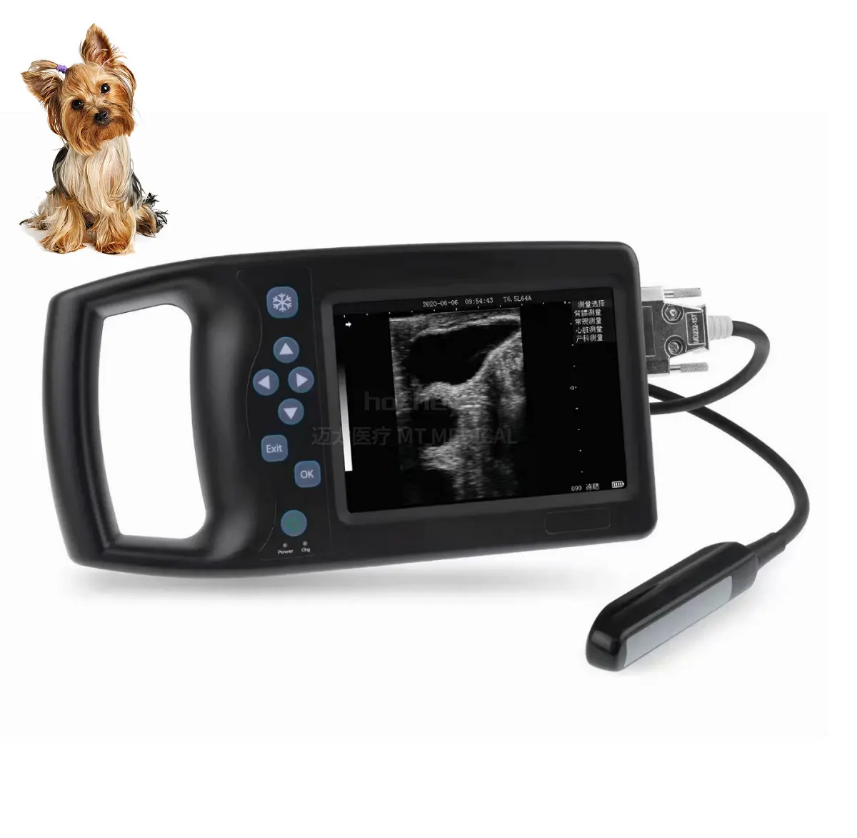 MT Medical Company Vet Ultrasound Scan Equipment Handheld Portable Veterinary Ultrasound Machine Usg for Cow
