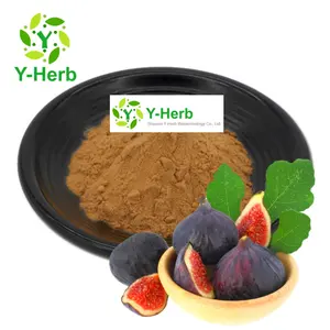 Polvo de fruta de higo seco Ficin 10:1 Wu Hua Guo Ficus Carica hoja de higo/fruta/semilla/extracto