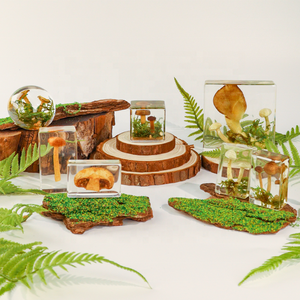 Usine de résine transparente divers de <span class=keywords><strong>champignons</strong></span> <span class=keywords><strong>champignons</strong></span> et mousse spécimens de résine de paysage - Product Image 6