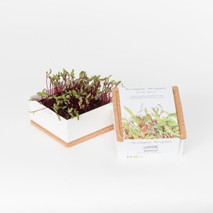 Kit orgánico Uno de <span class=keywords><strong>remolacha</strong></span> Microgreen de jardín de estilo rural que crece en el suelo hecho de fibra de siembra - Product Image 6