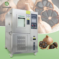 Machine de cuisson pour l'ail noir fermenté coréen, modèle Pro, pour la production de 1000 kg, utilisable à Guangzhou pour la maison