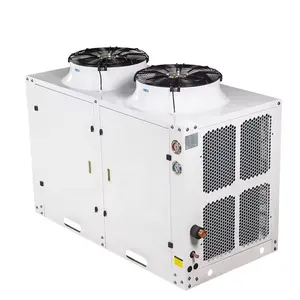 R404A Blast Freezer Cold Room Systems Air cooled Refrigeration or Blast Freezer Condensing Unit