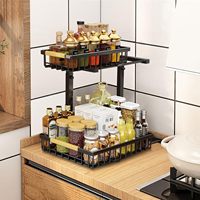 Organiseur de placard à 2 niveaux coulissant pour cuisine, rangement sous évier avec tiroir coulissant et panier de rangement en métal