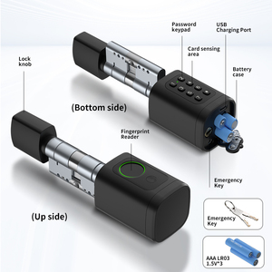 Euro easy <span class=keywords><strong>replacement</strong></span> fingerprint passcode chiave AAA batterie digitale elettronica tuya card cilindros in ottone smart lucchetto a cilindro - Product Image 5