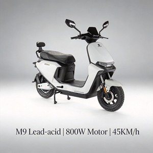 <span class=keywords><strong>จักรยาน</strong></span>ไฟฟ้า PACIFIC 800W Brushless ความเร็ว 45 กม./ชม. ระยะทาง 60 กม.+ พร้อมมอเตอร์ดุมล้อหลัง แบตเตอรี่ลิเธียม/ตะกั่วกรด 60V/72V ระบบเบรกไฮดรอลิกดิสก์ - Product Image 1