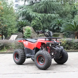 Çin 4 tekerlekli 110cc atv 4 zamanlı yetişkin atv 125CC arazi aracı satılık