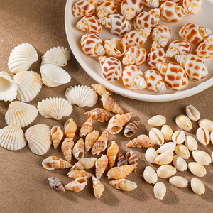 JD GEMS Wholesale High Quality Natural Shell Jewelry <strong>Accessories</strong> for DIY Fashion Necklace and Bracelets Jewelry - Product Image 3