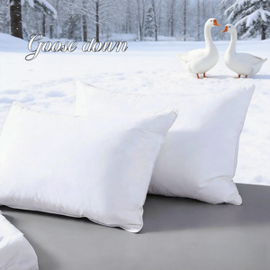 <span class=keywords><strong>Oreiller</strong></span> de lit doux personnalisé moderne de haute qualité rempli de plumes <span class=keywords><strong>d</strong></span>'<span class=keywords><strong>oie</strong></span> naturelles pour le soutien du cou et du corps Anti-acariens respectueux de l'environnement - Product Image 1