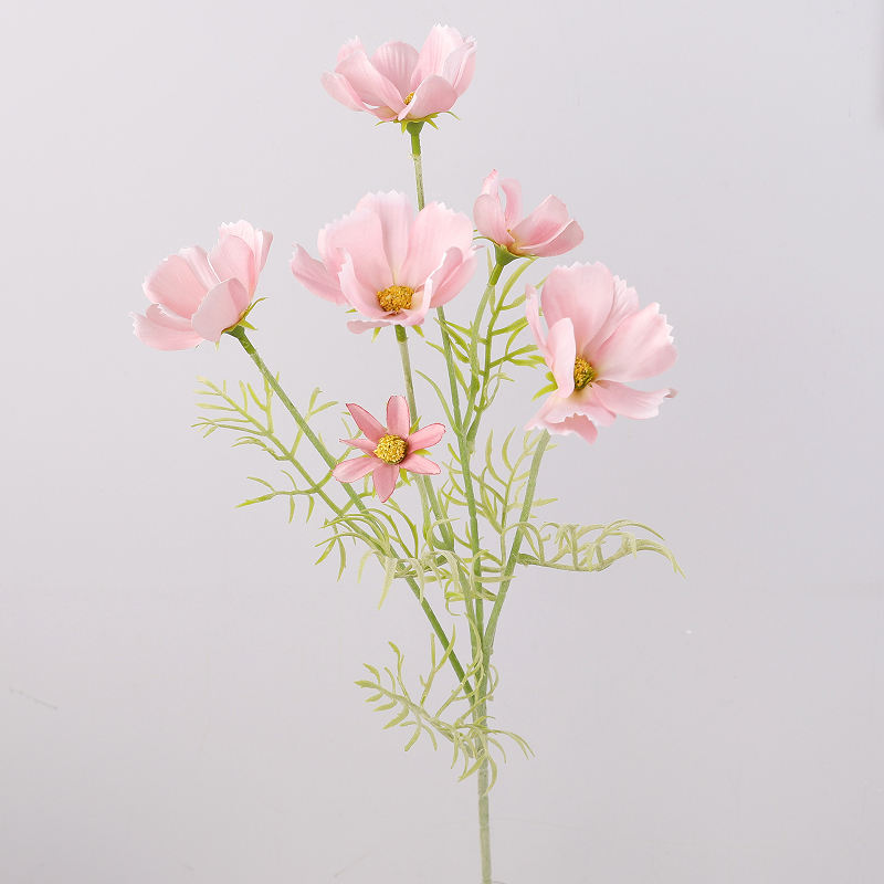 สีชมพูอ่อน