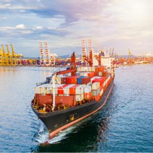 Muayene kapı kapı deniz taşımacılığı tedarikçileri Shenzhen Guangdong çin abd uluslararası nakliye Ddp teslimat hizmeti - Product Image 3