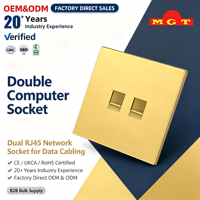 Prise murale double LAN Ethernet couleur or champagne pour la maison et le bureau, vente en gros d'usine OEM