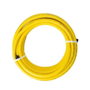 Diverses tailles 100cm 1/2 pouces Pvc gaz naturel tuyau en métal flexible tuyau flexible en acier inoxydable pour l'eau