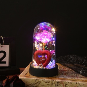 Luce a cupola con fiori di rosa <span class=keywords><strong>Fantasy</strong></span>, regalo più venduto per la festa della mamma di san valentino - Product Image 3