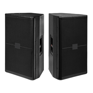 Vendita calda 450W passiva da 15 pollici a 2 vie gamma Audio professionale per spettacoli di concerti e discorsi - Product Image 2