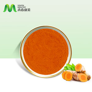 Curcumina orgánica natural 95%, polvo de cúrcuma, extracto de raíz de cúrcuma, cúrcuma - Product Image 2