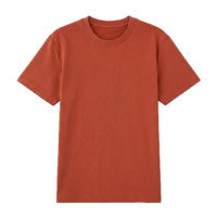T-shirt Sorona 70% coton 30% polyester, impression personnalisée du logo, impression de t-shirts, vêtements de sport, fitness, impression de t-shirts pour hommes, unisexe