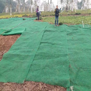 Buona flessibilità 3D Geomat per argini autostradali e ferroviari - Product Image 5