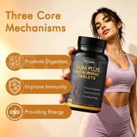 Comprimés de Garcinia Cambogia au thé vert pour la perte de poids, complément alimentaire à base de plantes, fabrication OEM sur mesure