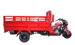Tricycle puissant de 250 cm³ à essence, démarrage électrique/à manivelle, 5 vitesses, carrosserie ouverte, certifié CEE, 5 roues, pour le transport de marchandises lourdes - Product Image 3