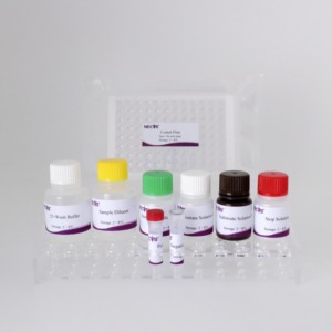 Prv GE protein IgG kháng thể phát hiện Kit (Elisa) cho lợn huyết thanh - Product Image 6