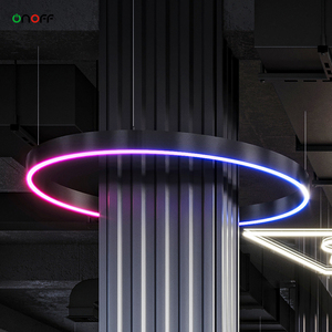 Đa Màu sắc đuổi theo treo vòng Ánh sáng thay đổi độ sáng pixel RGB <span class=keywords><strong>Led</strong></span> vòng tròn tuyến tính ánh sáng mặt dây chuyền cho phòng tập thể dục - Product Image 3