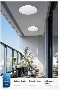 Siêu Mỏng Phong Cách Hiện Đại Ánh Sáng Trần 110V/220V AC 18W LED Cho Khách Sạn Phòng Khách Nhà Ba Bằng Chứng Ánh Sáng Trần - Product Image 5