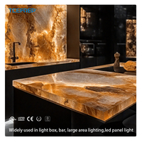 Panneau lumineux LED bicolore 480x240mm 30W DC24V 120 °   Panneau lumineux LED ultra-fin à angle de faisceau IP20 pour de multiples scénarios