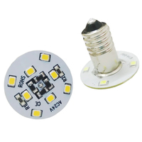 Funfair Pixel 32MM LED Point Light 24V E10/E14 Fairground Light pour parc d'attractions et éclairage de parc à thème