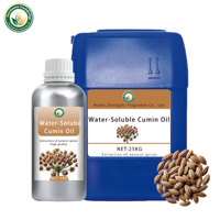 Factory Direct Water Soluble Cumin Seed Oil Food Grade Natural Spice for Sauce Instant Food Free Sample Available
