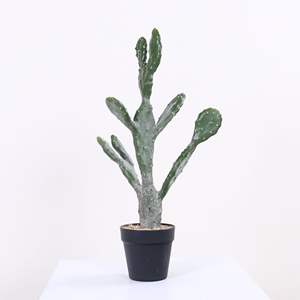 Plantas Artificiales de Plástico, Cactus Leon, Decoración para Interiores/Exteriores, Plantas Verdes Artificiales Tropicales, Paisaje Desértico, Alta Simulación - Product Image 2