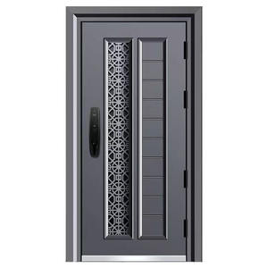 <span class=keywords><strong>Porte</strong></span> d'<span class=keywords><strong>entrée</strong></span> pivotante extérieure <span class=keywords><strong>Hormann</strong></span> en acier inoxydable à battant unique, prix usine - Product Image 1