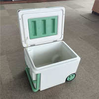 Conteneur réfrigéré RF pliable Deepfreeze Outdoor Cold Closet Boîte de table réfrigérée portable pliante avec roues