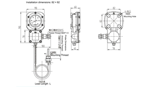 Termometro Analogico Antideflagrante BWTY-205 per Pressione Gas con Uscita Segnale a Resistenza Termica Nanyang Huaye Zhang Heng - Product Image 6