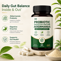 Enzyme digestive probiotique Akkermansia, soutien de la santé intestinale, complément alimentaire pour la santé digestive, capsules probiotiques Akkermansia
