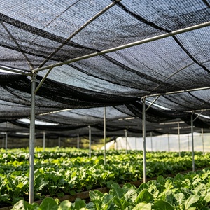 Toiles <span class=keywords><strong>d</strong></span>'<span class=keywords><strong>ombrage</strong></span> <span class=keywords><strong>anti</strong></span>-<span class=keywords><strong>UV</strong></span> en HDPE pour serres agricoles - Product Image 1