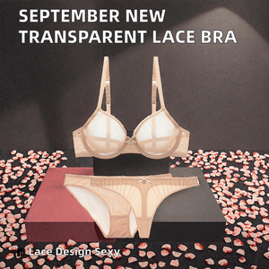 Super September New Style Breathable Sexy Plain Dyed <b>Transparent</b> Lace <b>Bra</b> in Stock MOQ 3 Fast Shipping Plus Size for Women - Product Image 2