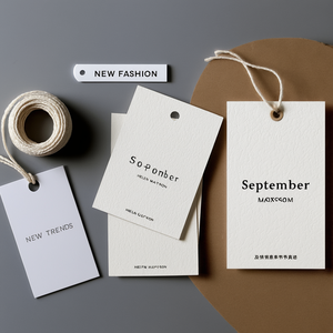 High End <strong>Customized</strong> Embossed hang <strong>Tag</strong> Wholesale White Double <strong>Swing</strong> hang <strong>Tag</strong> Fashion Clothing <strong>Printing</strong> hang <strong>Tag</strong> - Product Image 1